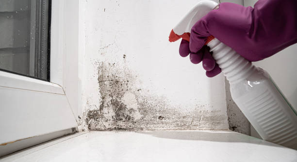 Reliable Burlington, OH Water damage restoration Solutions